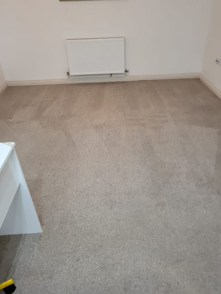 During professional carpet cleaning in Chippenham