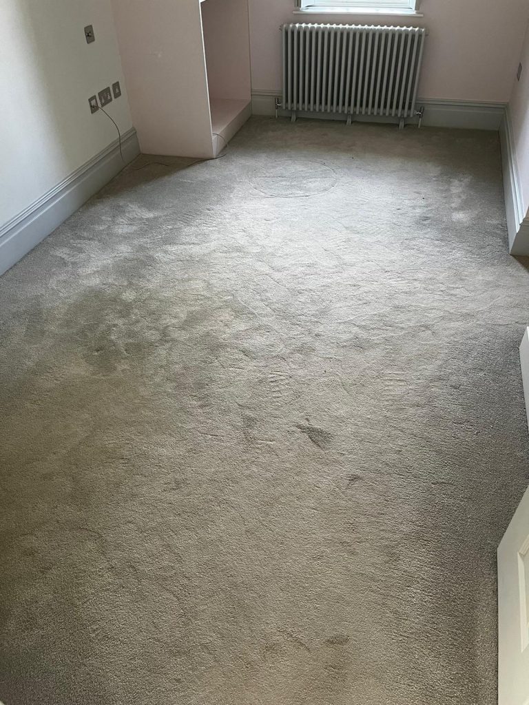 Carpet Deep Cleaning in Bath