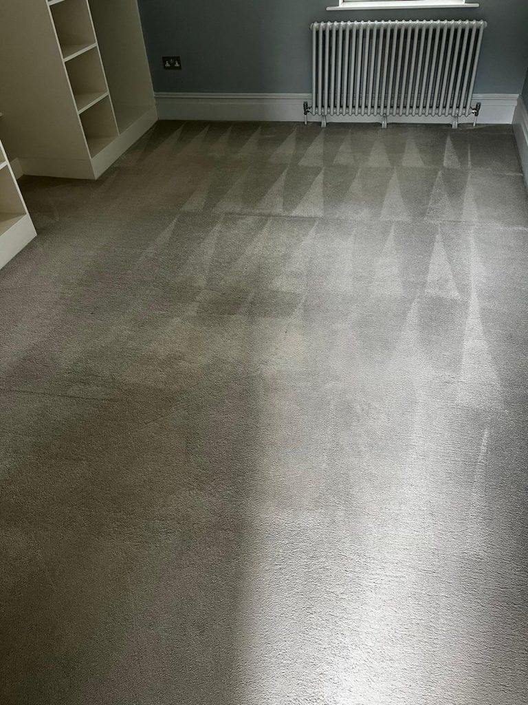 Professional Carpet Cleaning in Somerset