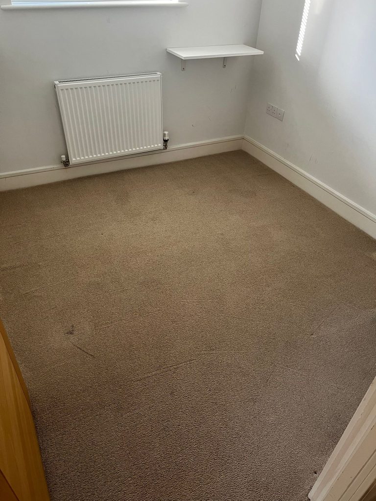 Successful end of tenancy carpet clean in Bath 8 Flat 6 Attwood Apartments After 1