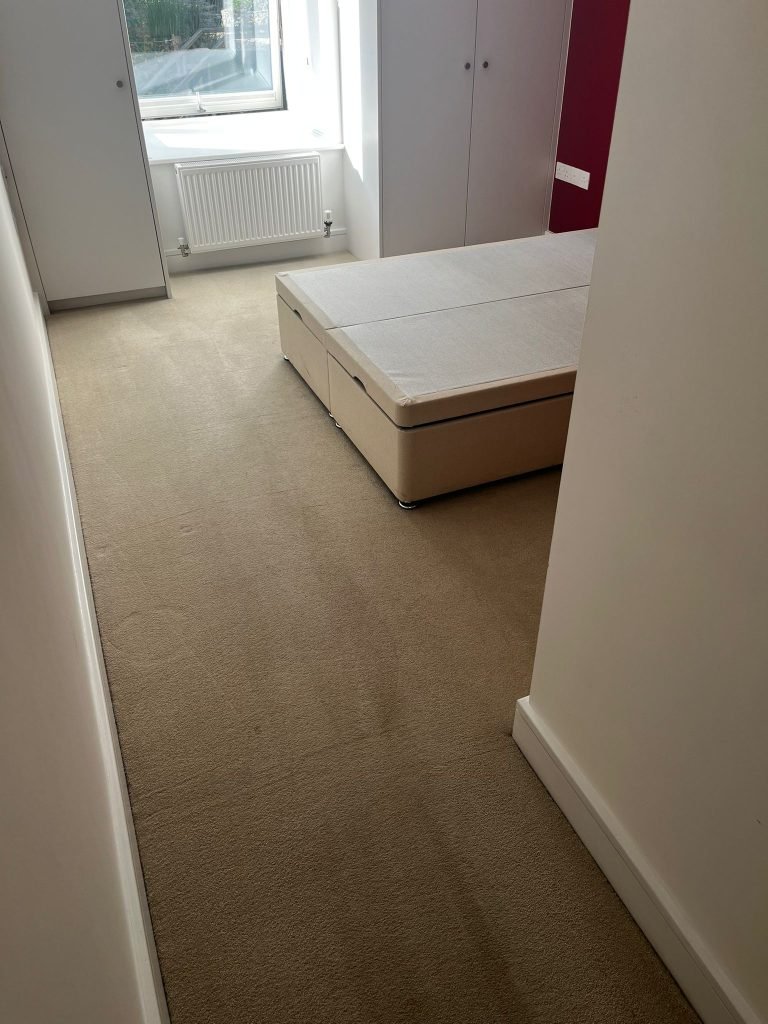 Successful end of tenancy carpet clean in Bath 12 Flat 6 Attwood Apartments After 2