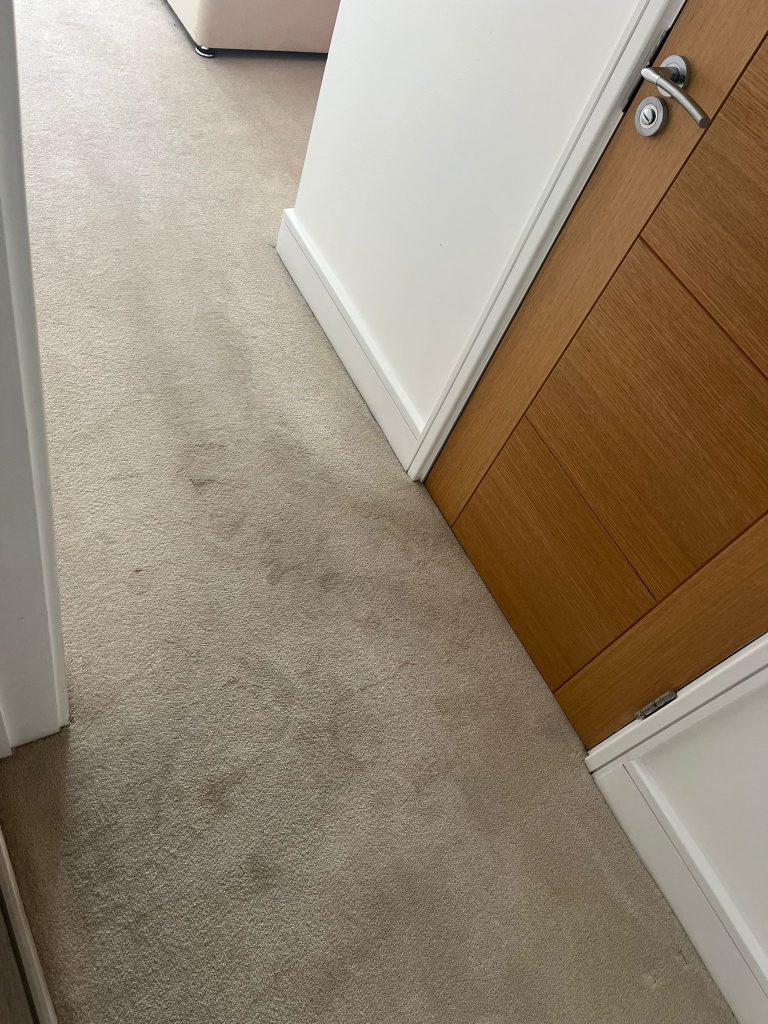 Successful end of tenancy carpet clean in Bath 4 Carpet Cleaning in Bath
