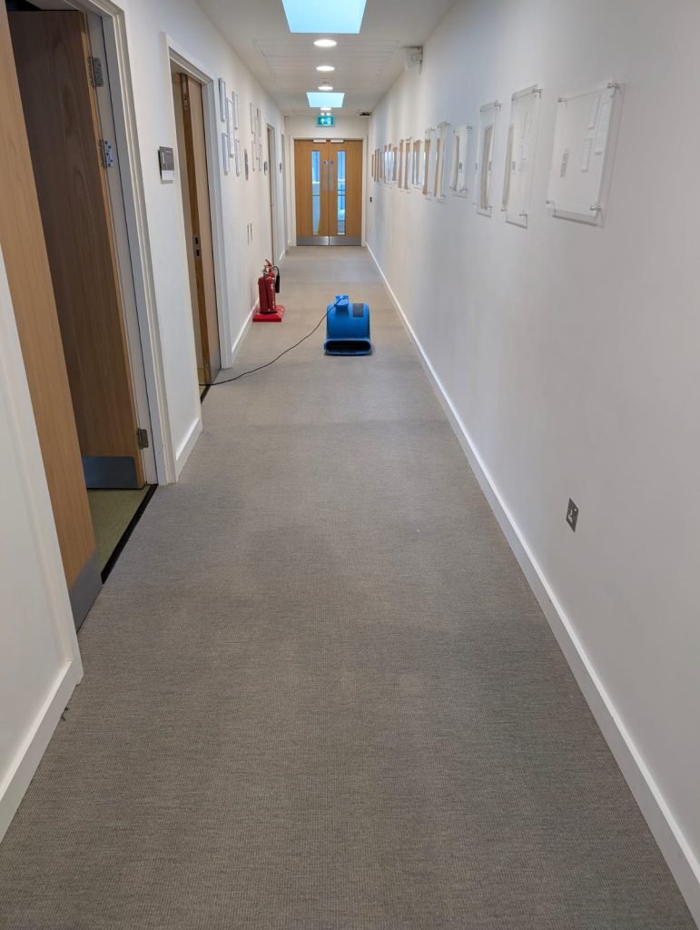 Great results on commercial carpet clean 6 Sherborne 5