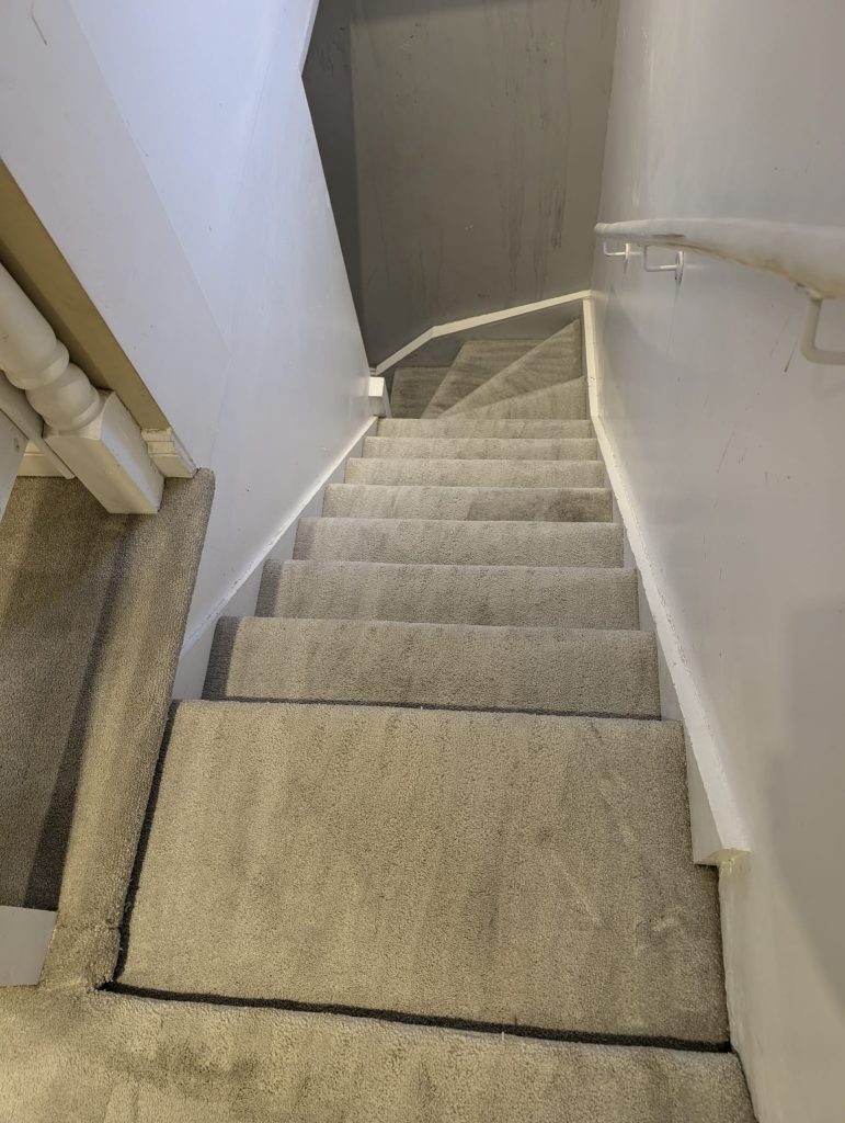 Impressive results on domestic carpet cleaning in Stroud 12 IMG 20241108 WA0004