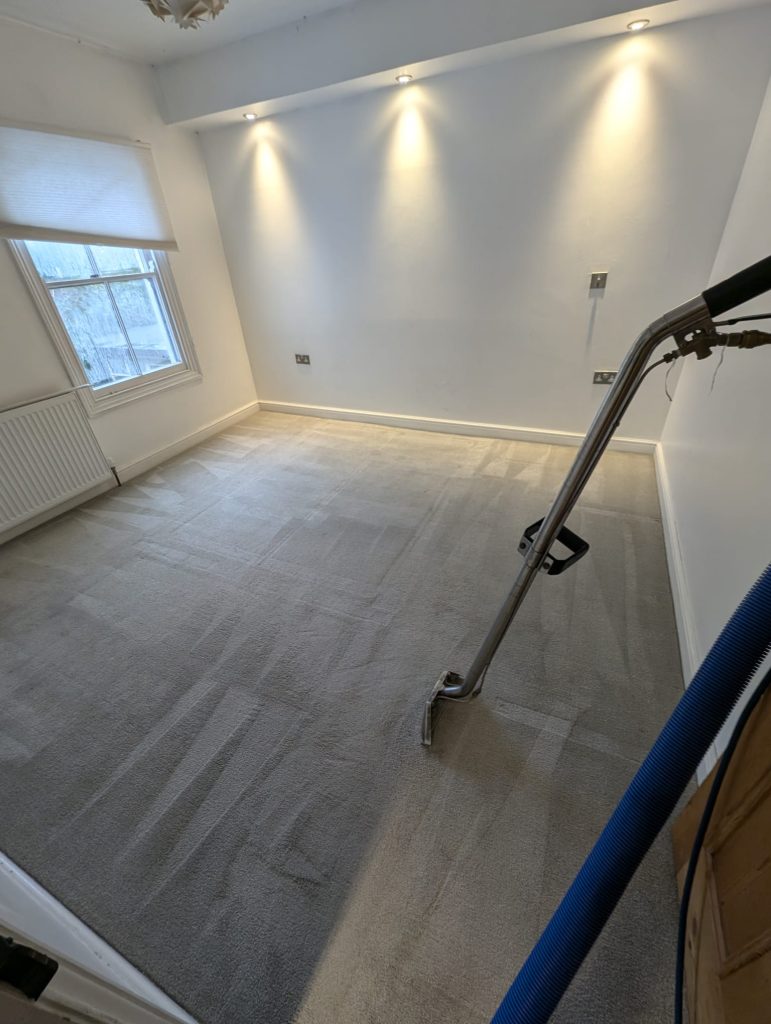 Impressive results on domestic carpet cleaning in Stroud 10 IMG 20241108 WA0005