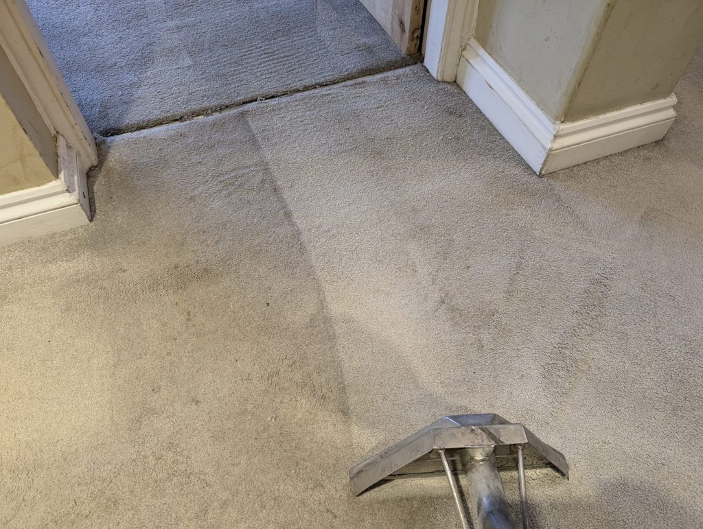 Impressive results on domestic carpet cleaning in Stroud 8 Green Man carpet cleaning in Stroud