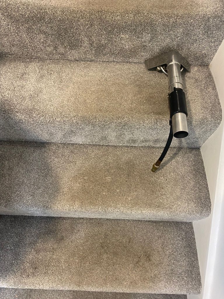 Professional carpet cleaning in Bristol