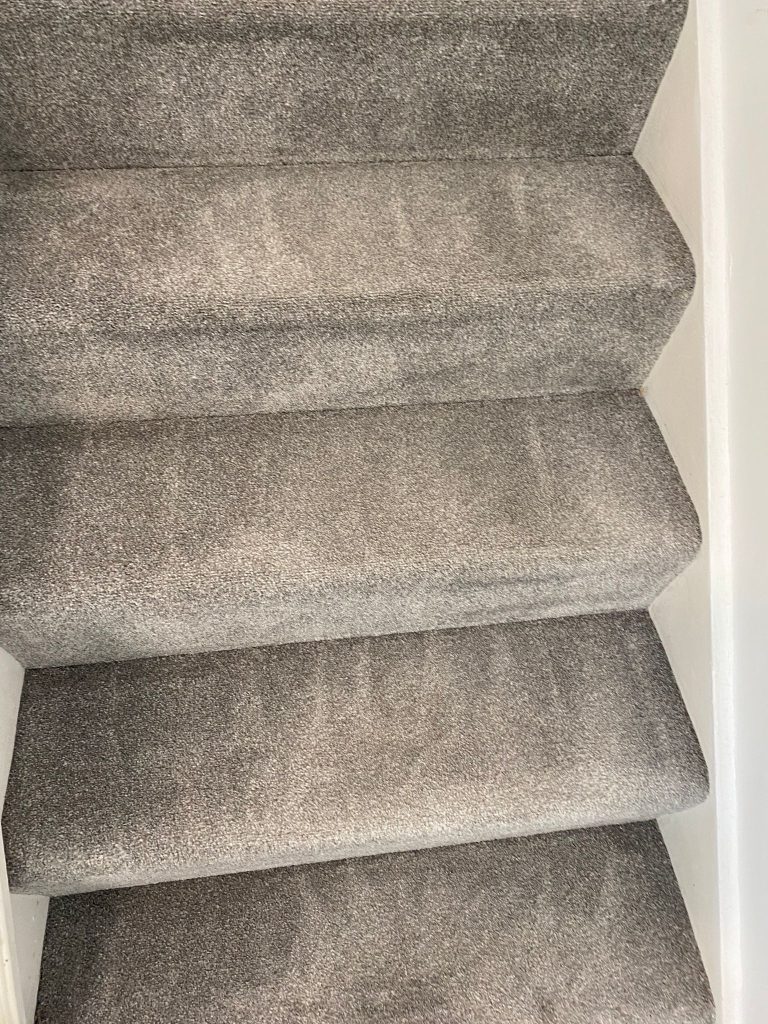 Domestic carpet cleaning in Bristol