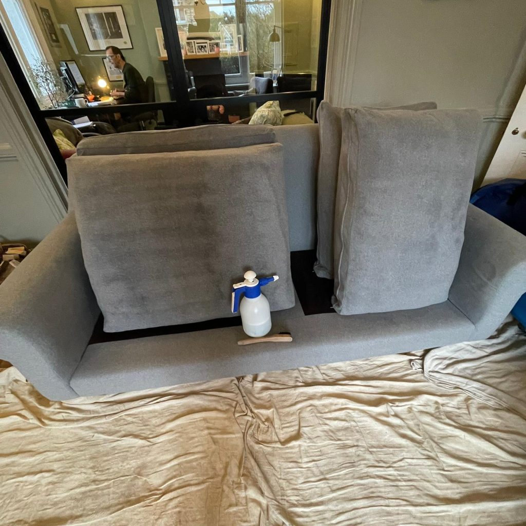 Great results on domestic clean of carpets, rugs & upholstery in Bristol 26 IMG 20250113 WA0009