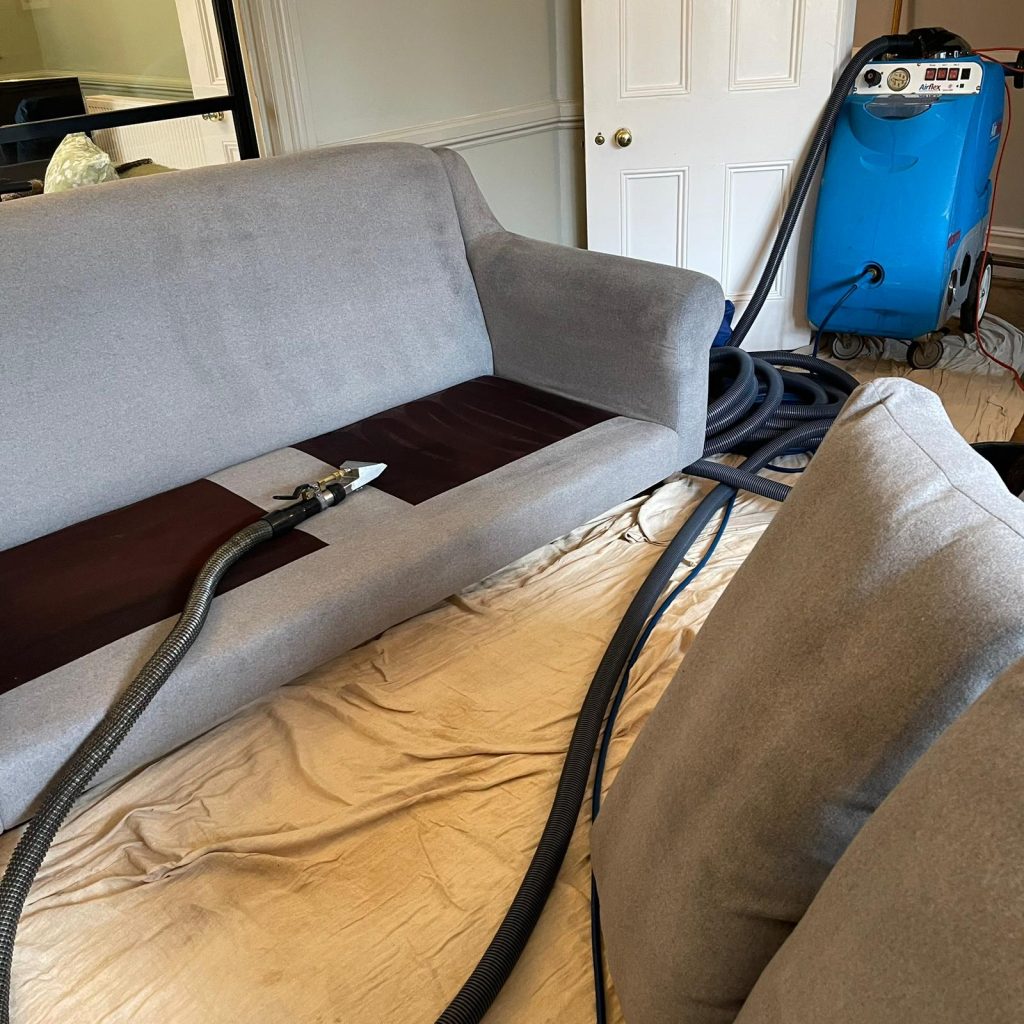 Great results on domestic clean of carpets, rugs & upholstery in Bristol 24 IMG 20250113 WA0010