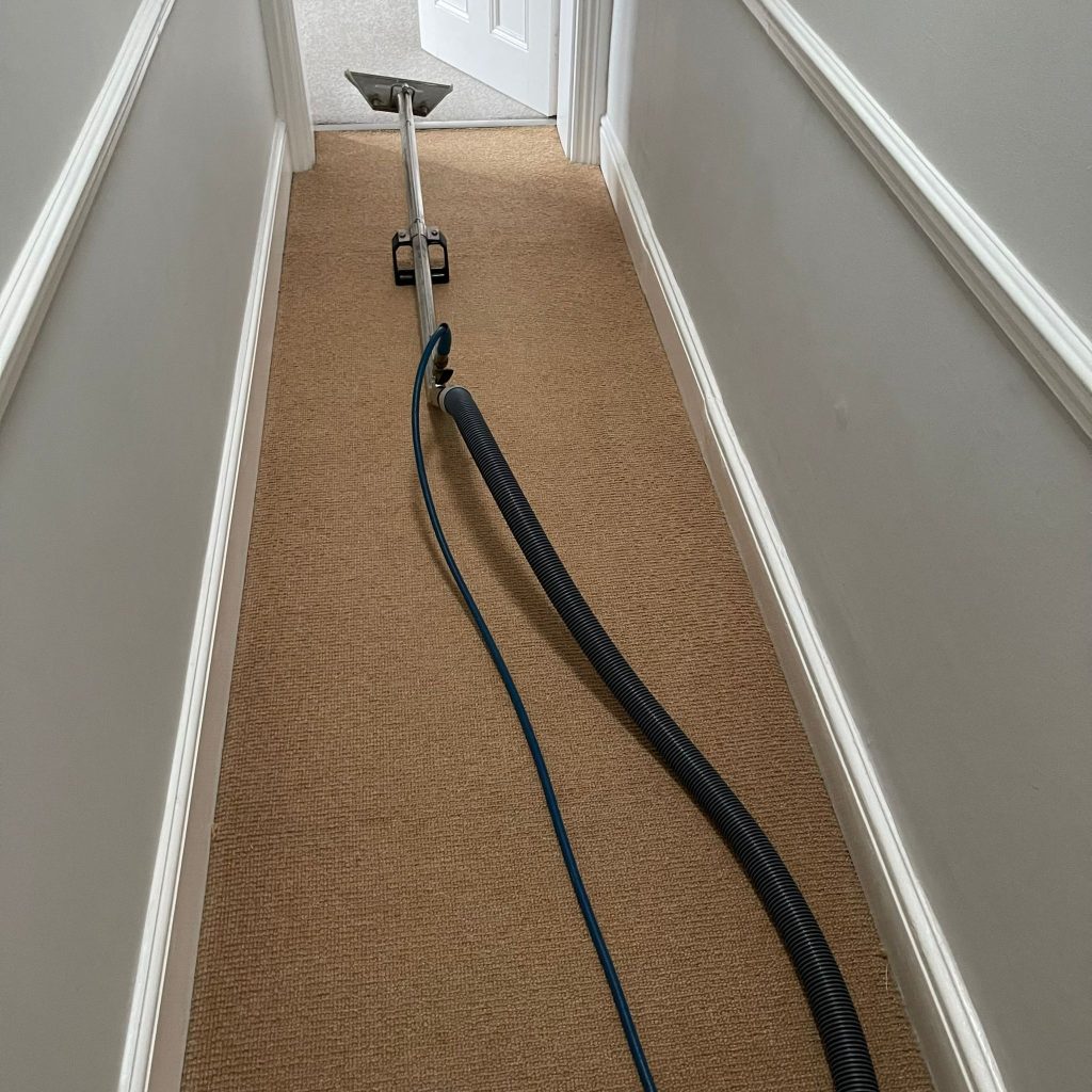 Great results on domestic clean of carpets, rugs & upholstery in Bristol 32 IMG 20250113 WA0030
