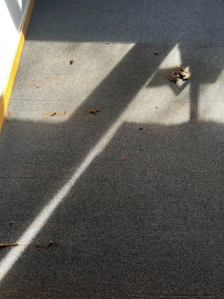 Repeat visit to carry out more school carpet cleaning in Oxfordshire sees more great results! 2 Commercial Carpet Cleaning in Primary School