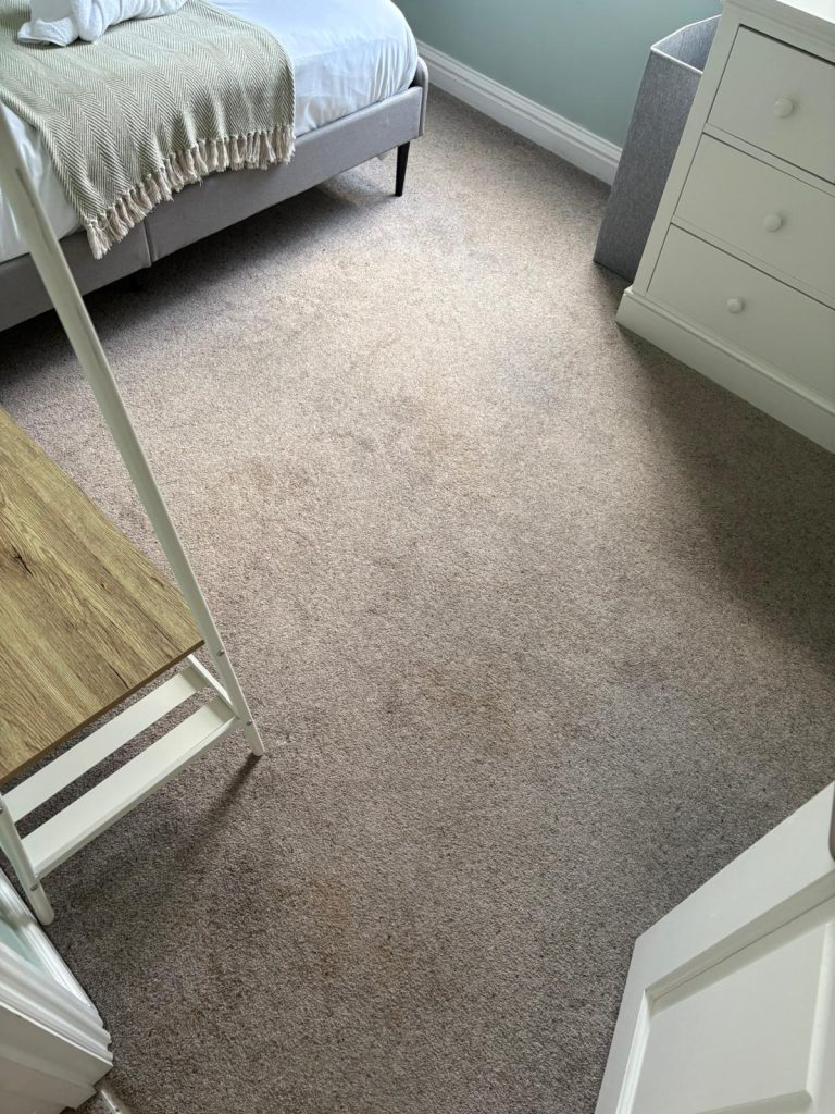 Great results on carpet cleaning of stains in Bristol 6 IMG 20250523 WA0005