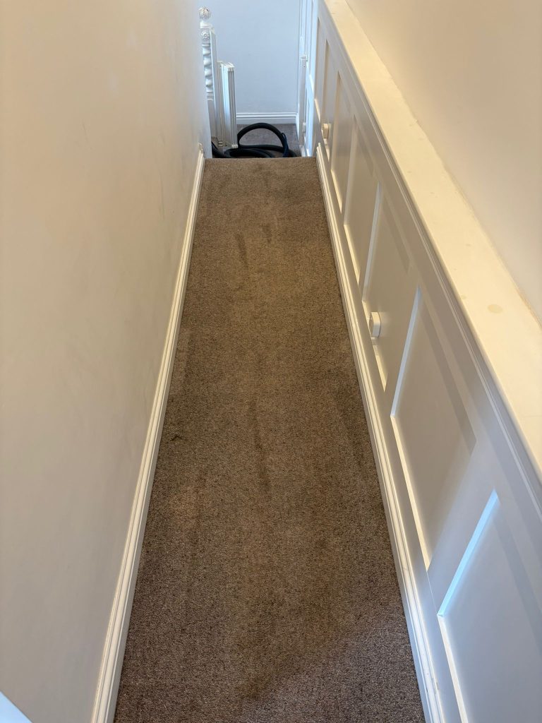 Great results on carpet cleaning of stains in Bristol 2 Professional Carpet Cleaning in Bristol