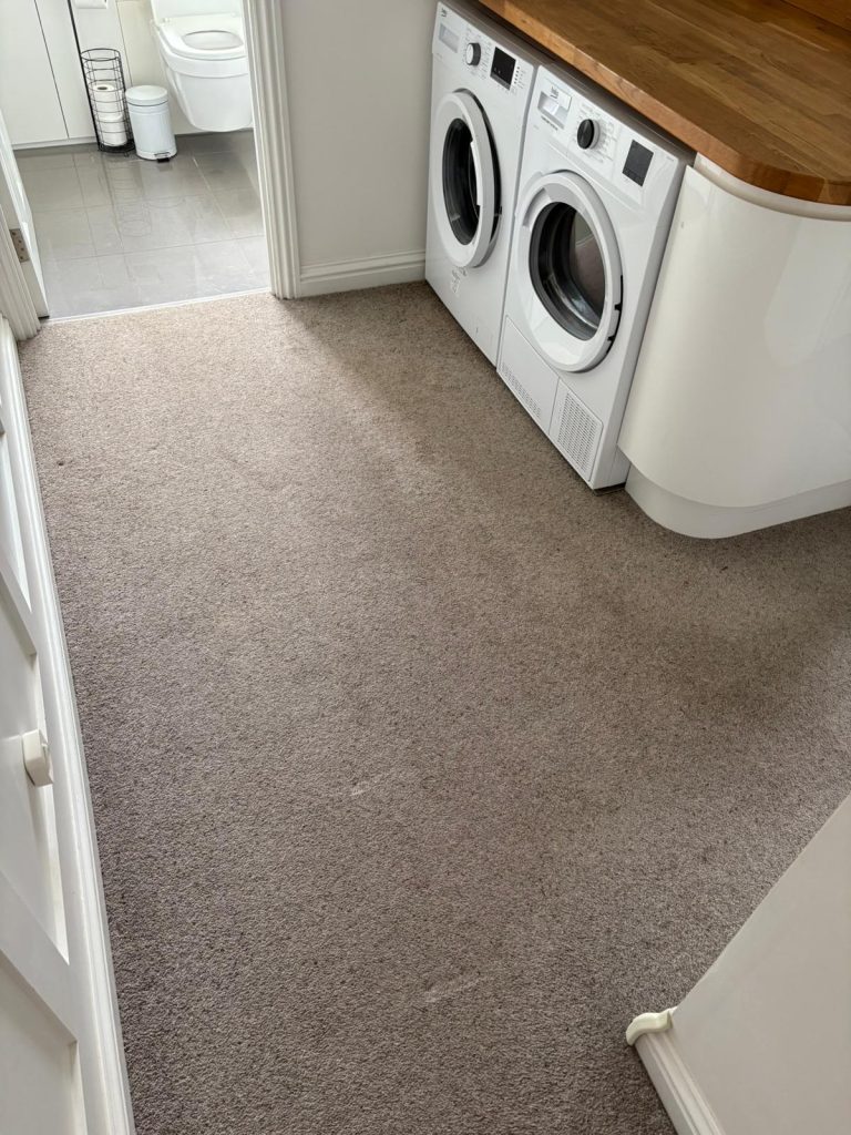 Great results on carpet cleaning of stains in Bristol 16 IMG 20250523 WA0019