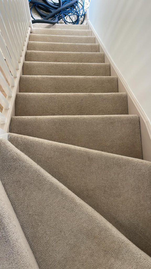 Great results on carpet cleaning of stains in Bristol 14 WhatsApp Image 2025 04 24 at 10.50.31 6cbe95ad