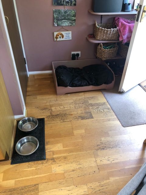 image5 18 rotated