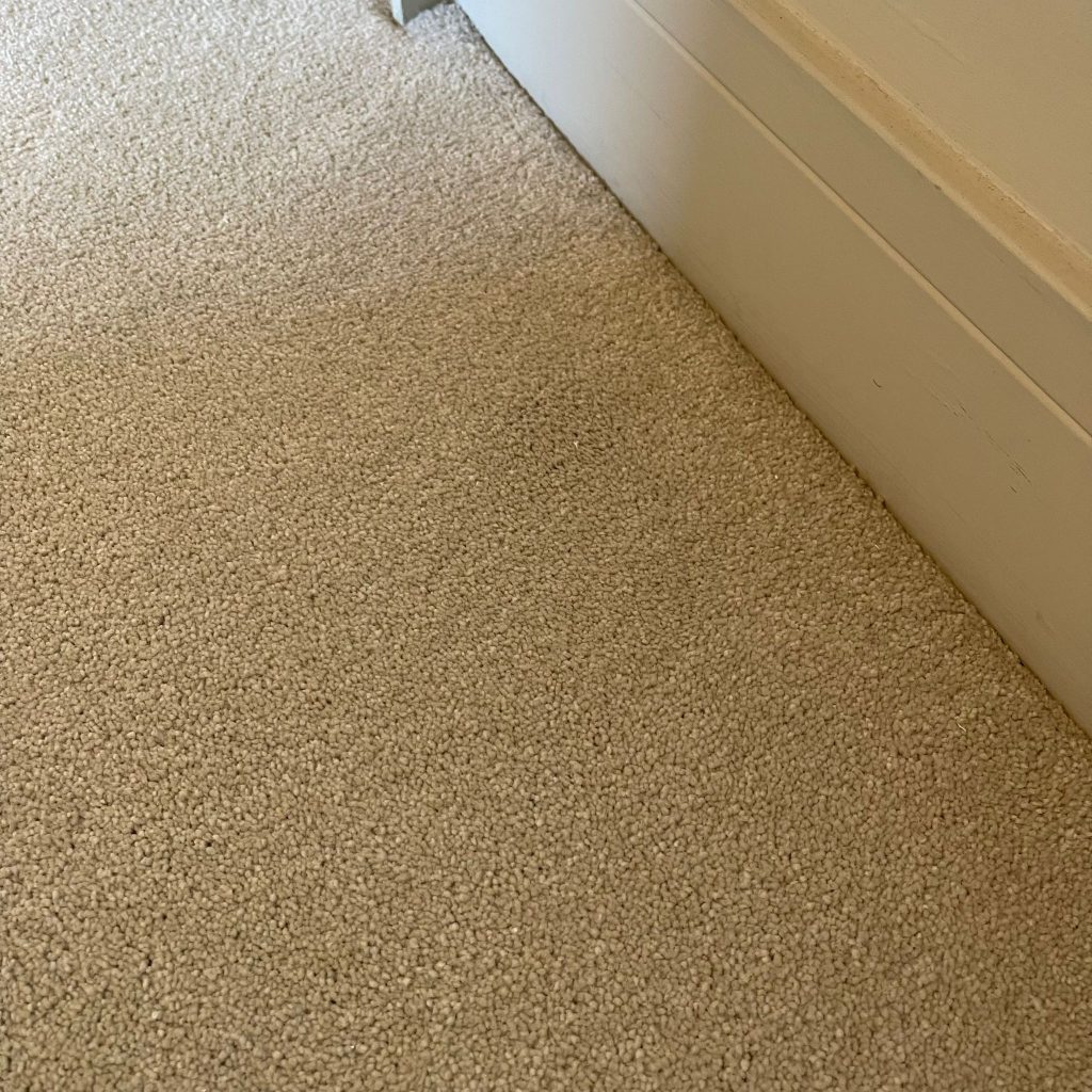 Good stain removal results during carpet clean of Cheltenham property 8 IMG 20251001 WA0003