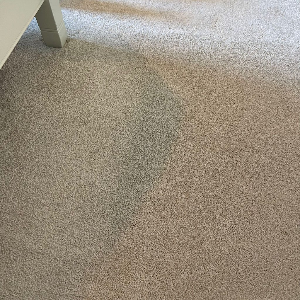 Good stain removal results during carpet clean of Cheltenham property 10 IMG 20251001 WA0007