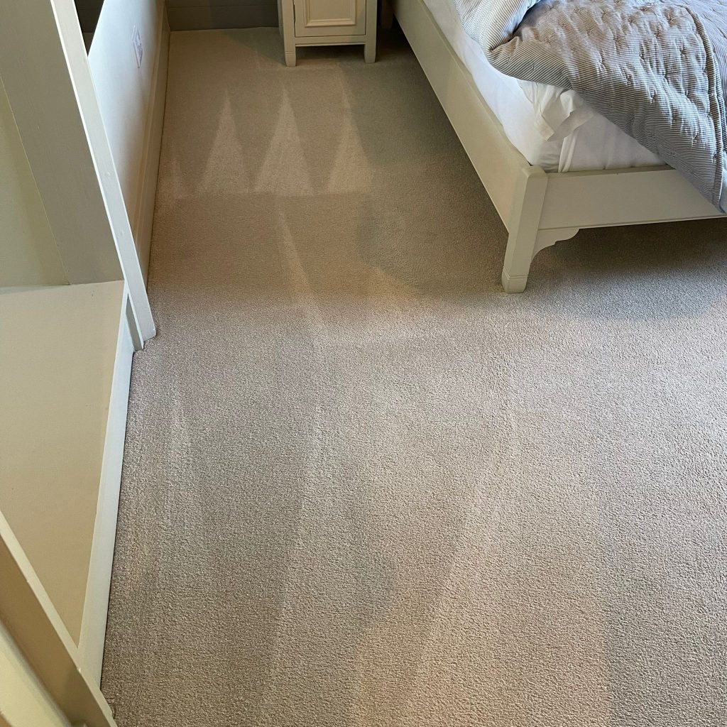 Good stain removal results during carpet clean of Cheltenham property 14 IMG 20251001 WA0009