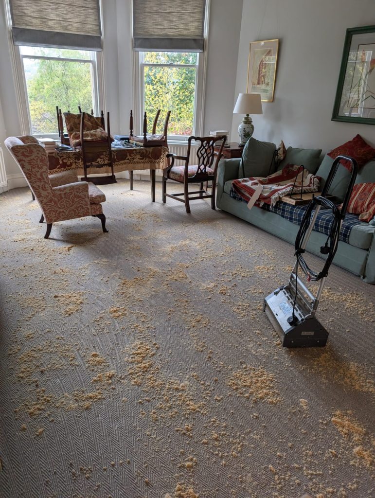Satisfying results on sisal carpet clean in Bath 6 WhatsApp Image 2025 10 31 at 12.21.52 95c4e40b