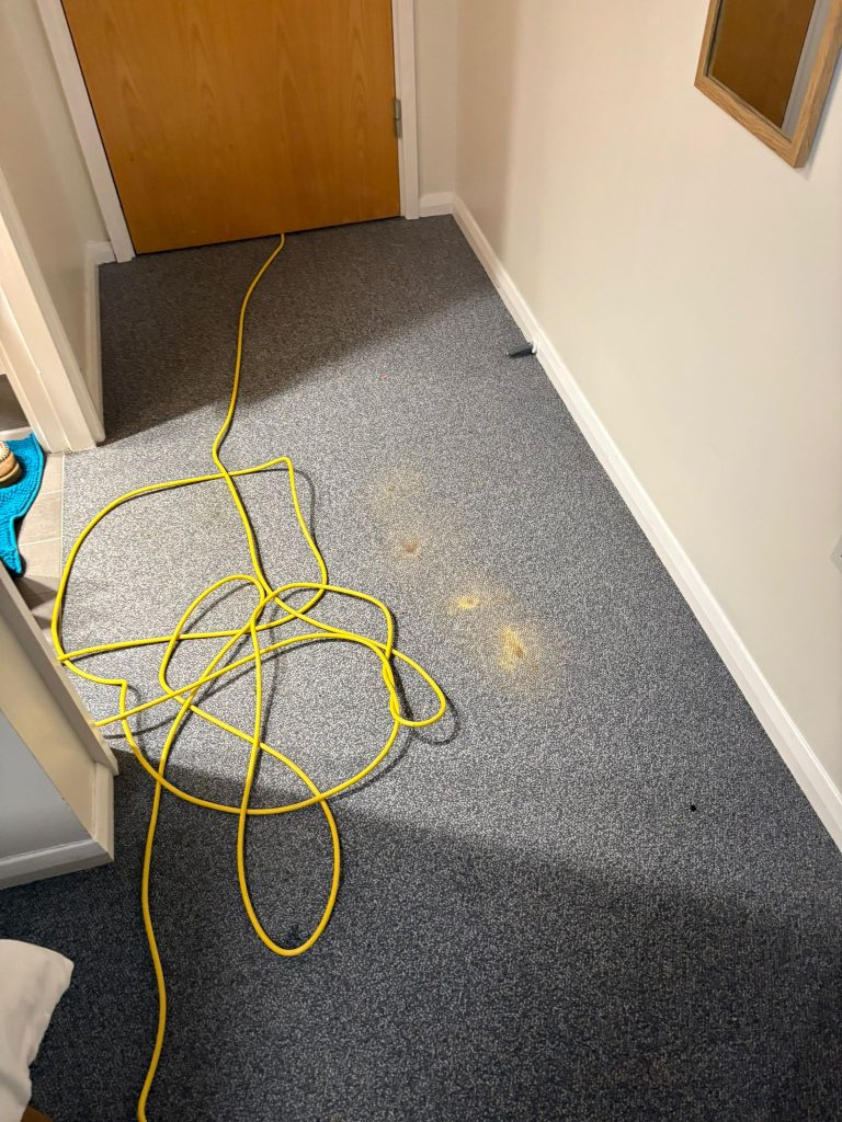 Great results on commercial carpet & hard floor cleaning in Cardiff Hospital 2 WhatsApp Image 2026 02 18 at 09.32.38