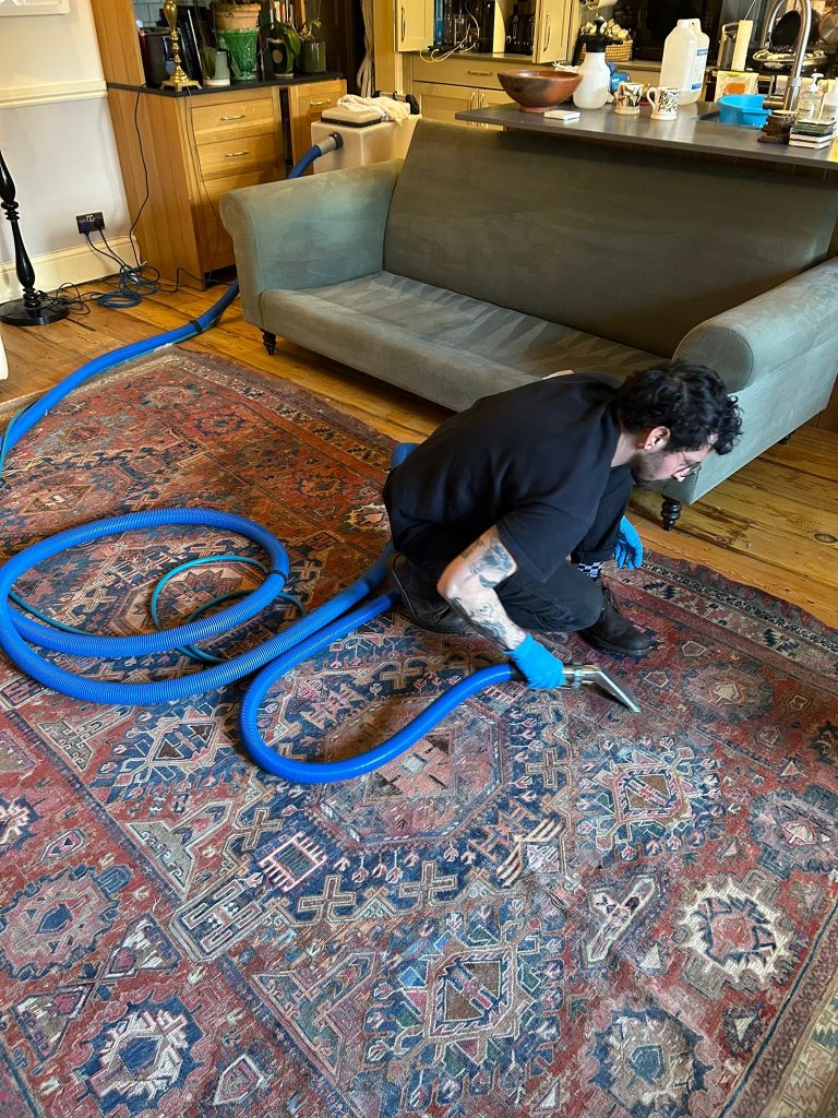 Successful clean of rugs, upholstery & wood flooring in Bath 4 WhatsApp Image 2026 02 25 at 09.21.00