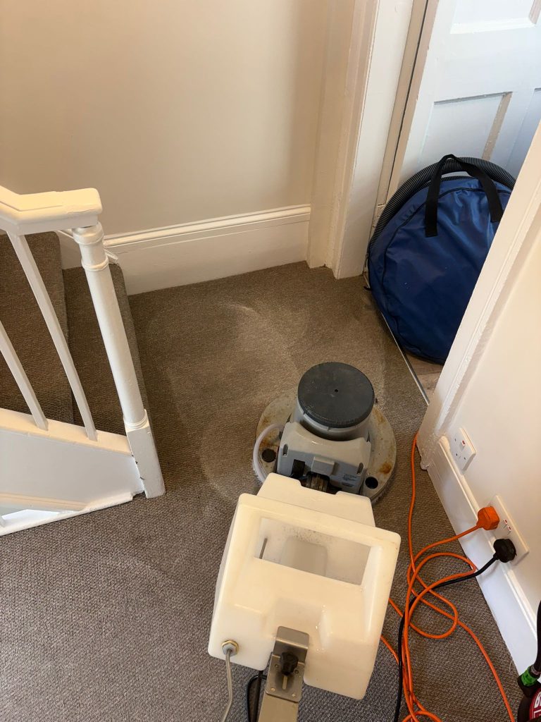 Great results on commercial carpet clean in Bath 4 WhatsApp Image 2026 02 25 at 13.08.25