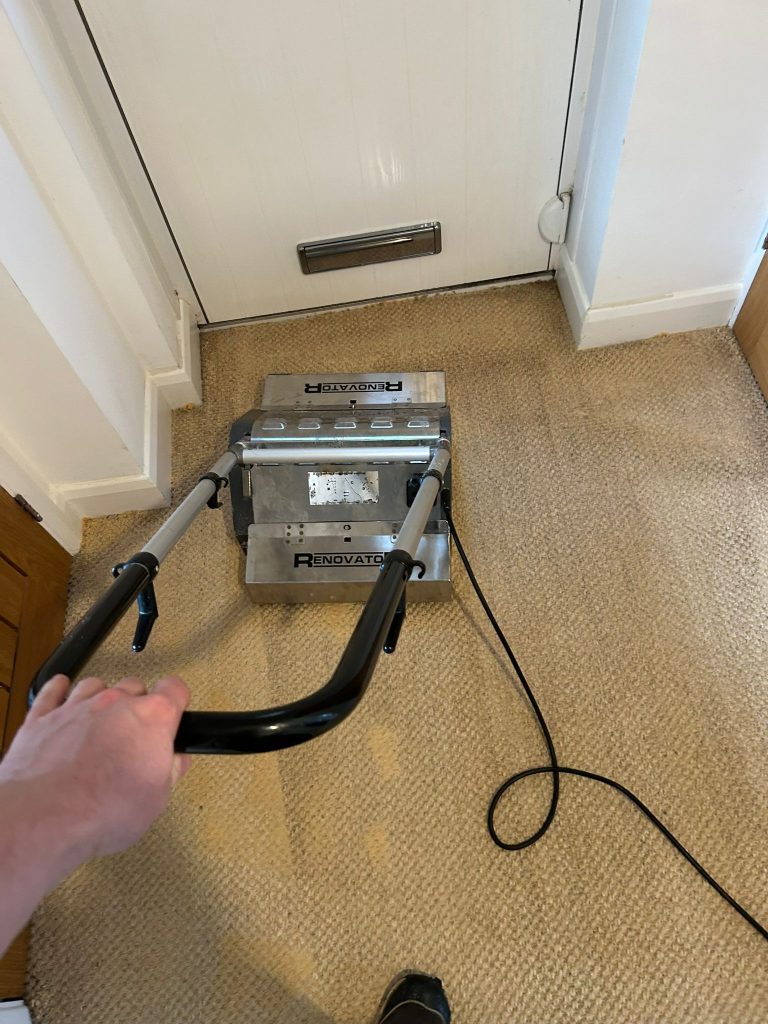Impressive improvement made to sisal carpets in Bristol home 6 WhatsApp Image 2026 04 17 at 15.37.52